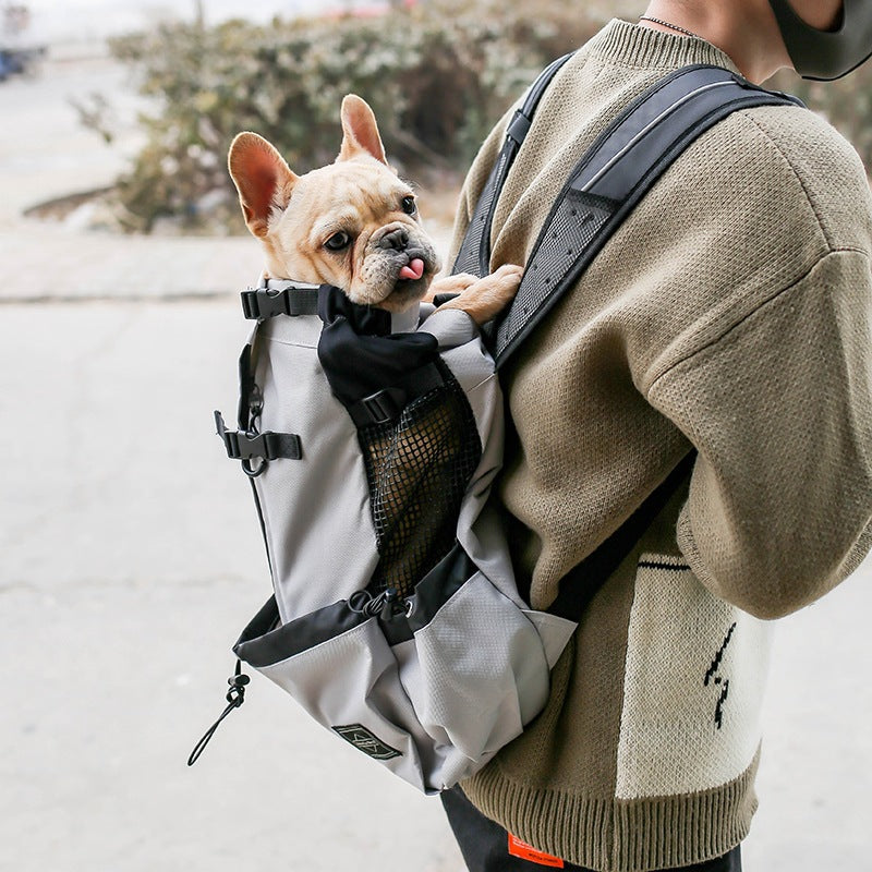 Pet Travel