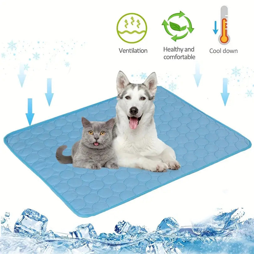Accessories for Dogs and Cats