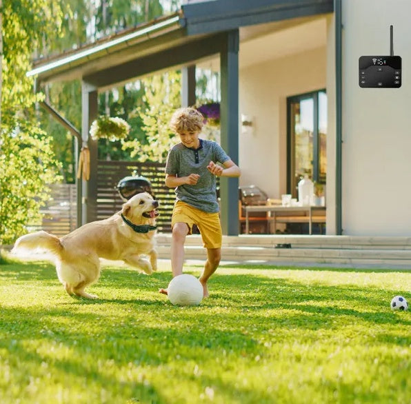 Wireless Electric Dog Fence Waterproof Pet Shock Boundary Containment System Electric Training Collar For Small Medium Large Dogs - 5 - CJ