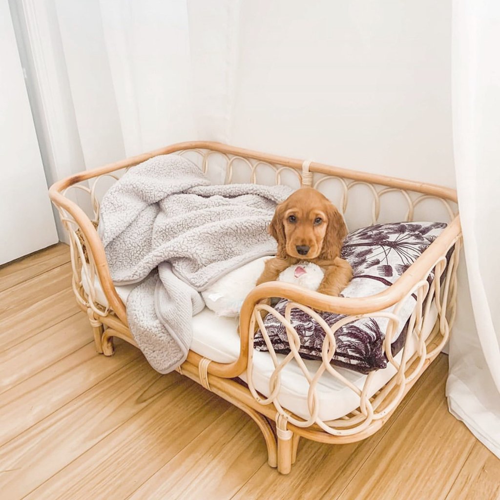 Pet Bed Handmade Rattan Woven Pet Bed Sofa For Dogs - 0 - CJ - Square - CJGY166738204DW