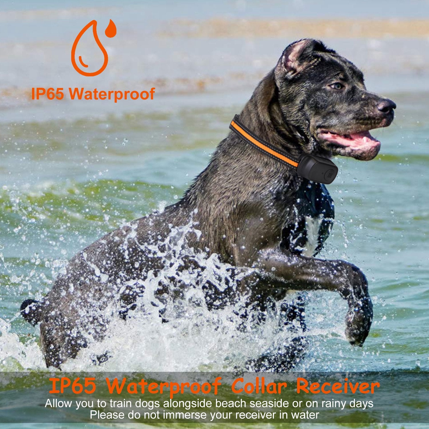 1Pc 984FT Dog Training Collar IP65 Waterproof Pet Beep Vibration Electric Shock Collar 3 Channels Rechargeable Transmitter Receiver Trainer With Recording Safety Keypad Lock - 5 - CJ