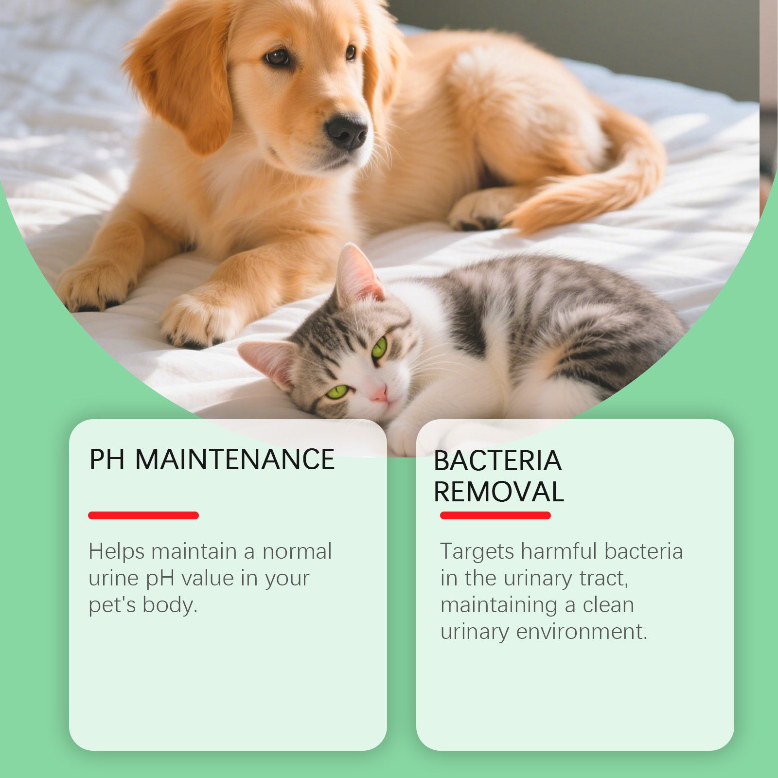 Cat And Dog Urinary Health Drops - 0 - CJ