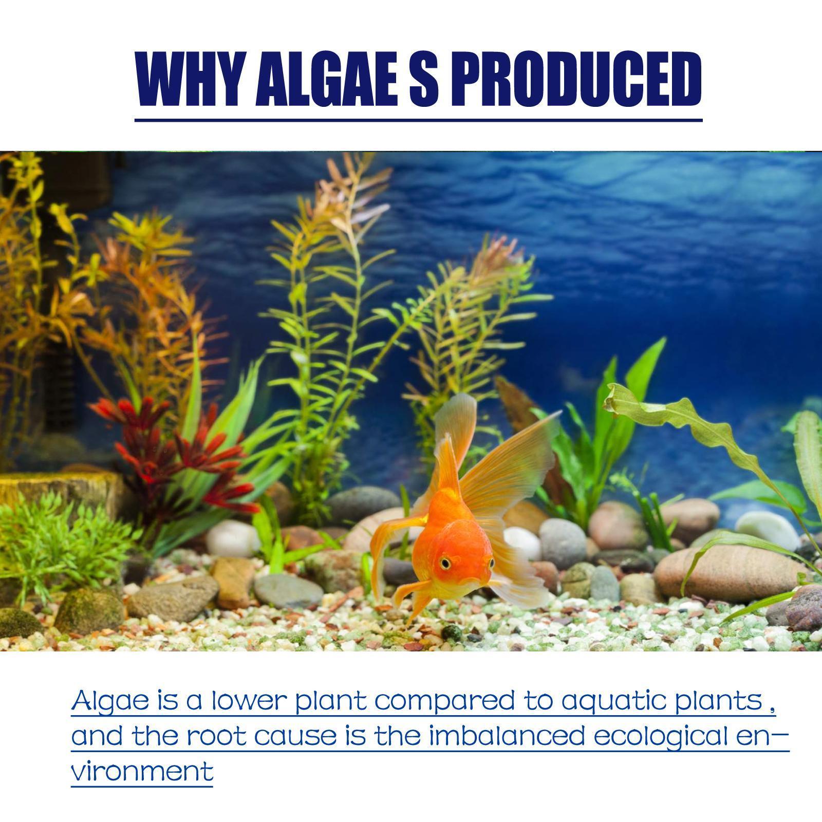 Igbondigal Lichen Fish Tank Cleaning Supplies Algaecide To Remove Moss And Green Water Algae - 5 - CJ
