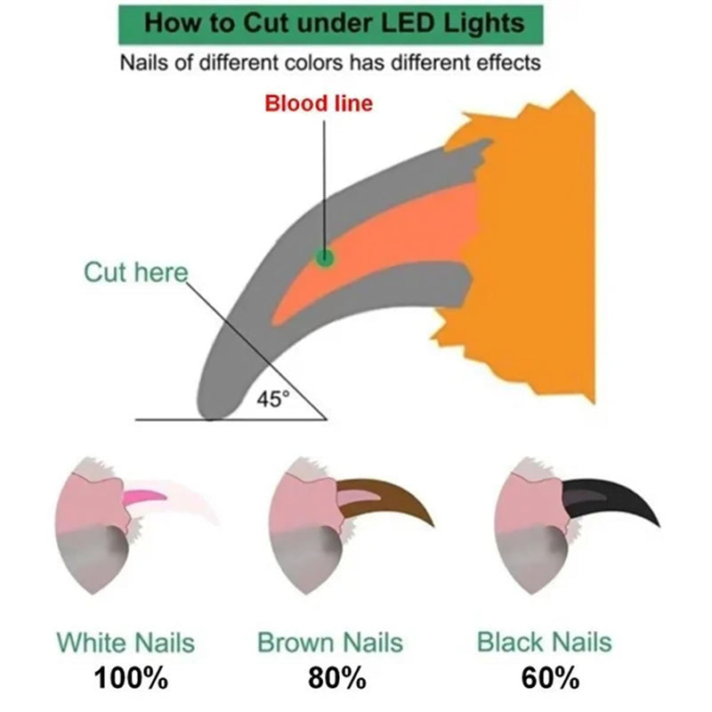 Pet Nail Clippers With LED Light Dogs Cat Nail Scissors Professional Trimmer Tool Care Grooming Supplies - 0 - CJ
