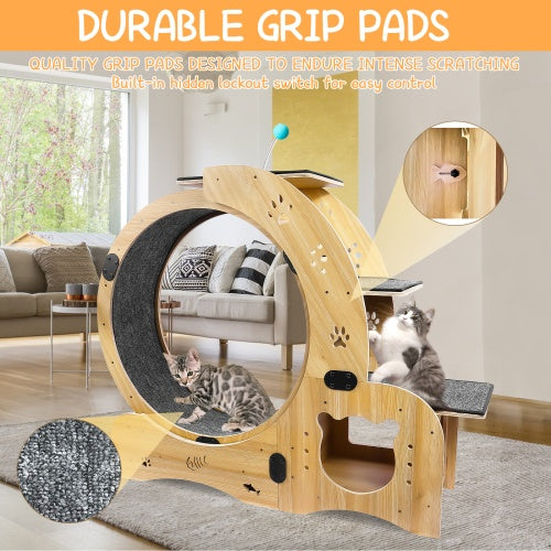 Cat Wheel 6 - in - 1 Cat Fitness Wheel - 5 - CJ