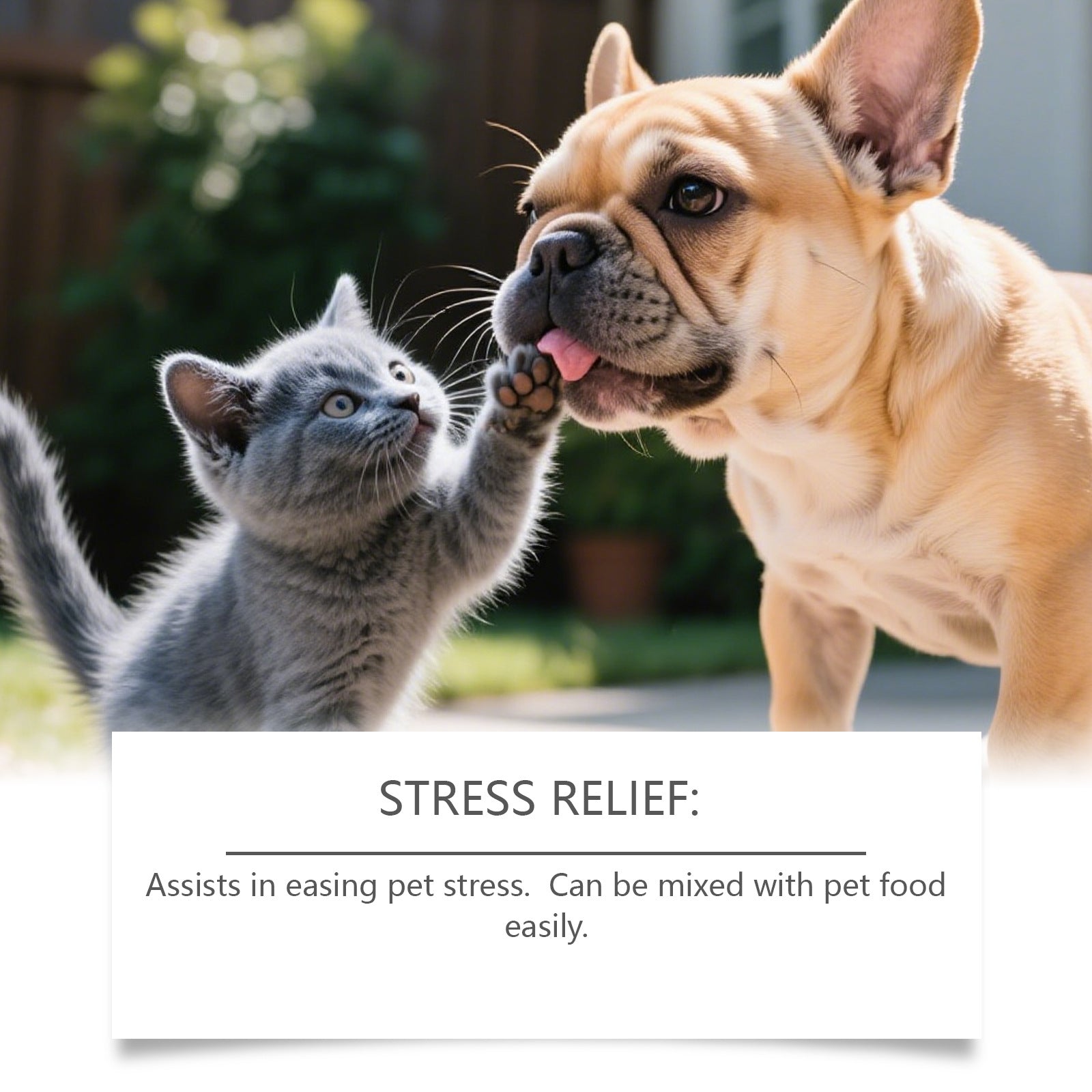 Kriath Pet Cat And Dog Care Drops Gentle, Nourishing, And Soothing Drops For Cats And Dogs, Ideal For Daily Sleep And General Care - 0 - CJ