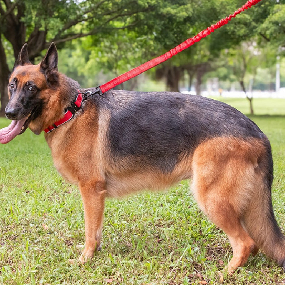 Tactical Dog CollarHarness Reflective Adjustable - 0 - CJ