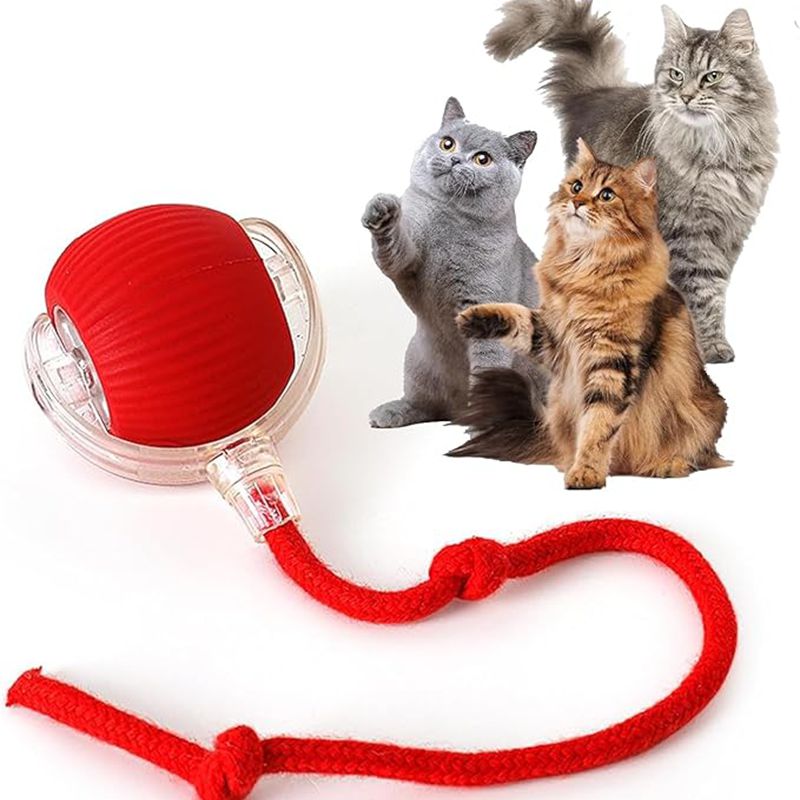 Cat Interactive Ball Toys Automatic Rolling Ball For Kitten Rechargeable Smart Pet Electric Toys With Teaser Sensor Cat Ball Toy - 4 - CJ