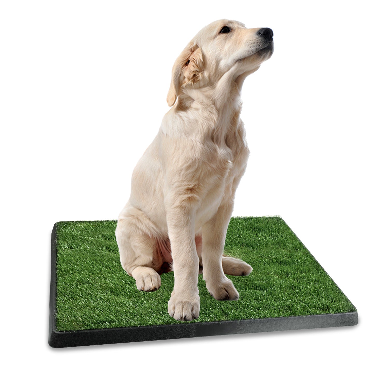 1Pc Dog Potty Training Artificial Grass Pad Pet Cat Toilet Trainer Mat Puppy Loo Tray Turf For Small Medium Dogs Indoor Outdoor Use - 5 - CJ