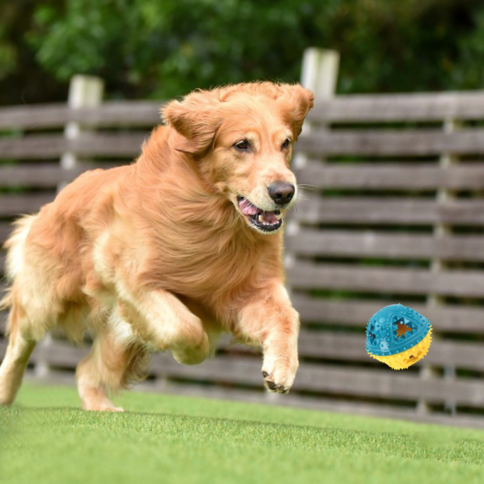 Dog Chew Toys Grinding Teeth Sound Ball Toys Leaking Food Balls Anti Bite Interactive Training Cleaning Teeth Toys Pet Products - 5 - CJ