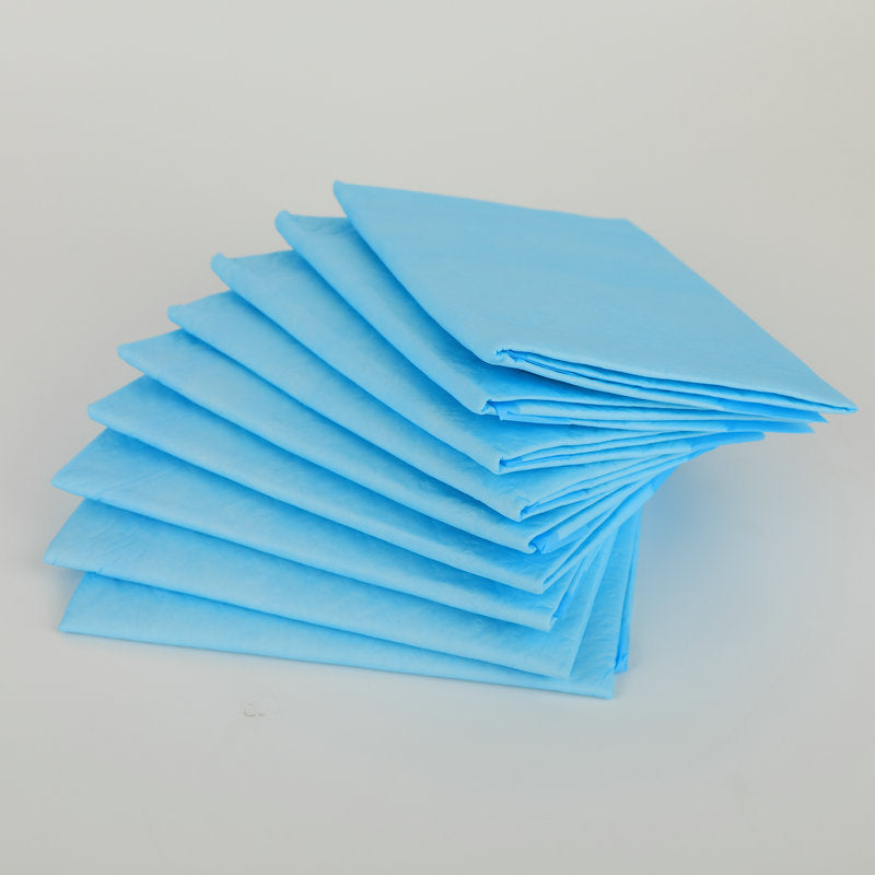 Pet Urine Pad Dog Urine Pad Deodorant Absorb Water Urine Not Wet - 0 - CJ - XL 20 pieces - Blue - CJJJCWGY01245 - XL 20 pieces - Blue
