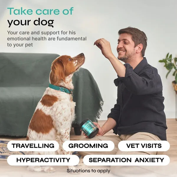 Hemp Calming Chews For Dog Anxiety Relief Duck Favor Calming Treats For Dogs Stress Separation Anxiety Relief Storms Hemp Seed Oil Calming Chews For Dogs Calming Treats For Anxiety Relief - 5 - CJ
