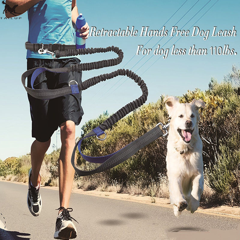 Amazon direct pet supplies multi - function running reflective pull dog leash double elastic dog leash traction - 0 - CJ