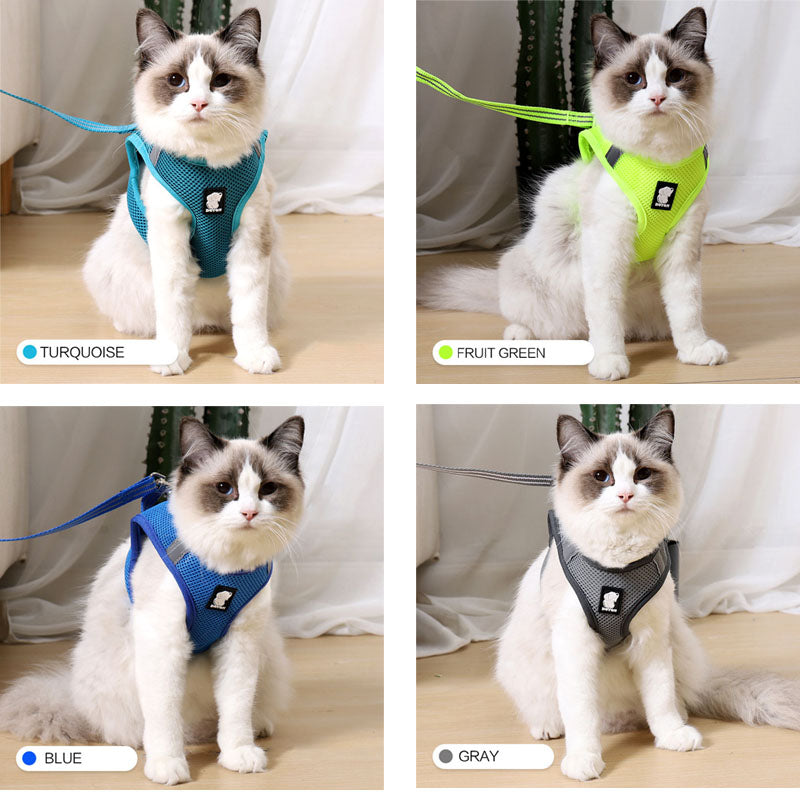 Anti - strike cat traction cat harness - 0 - CJ
