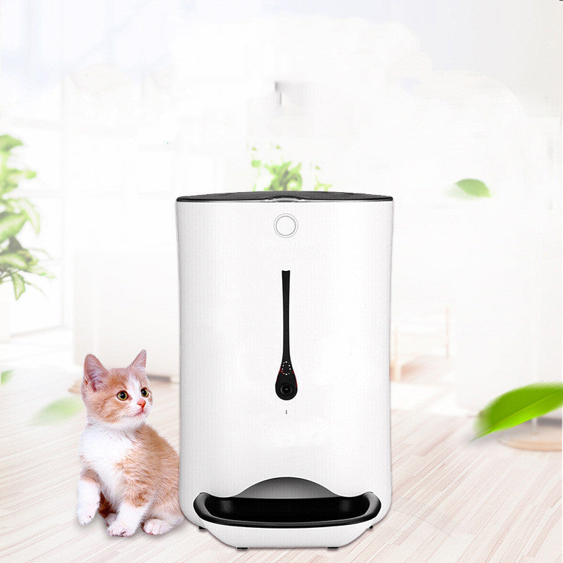Timed pet video automatic feeder - 0 - CJ