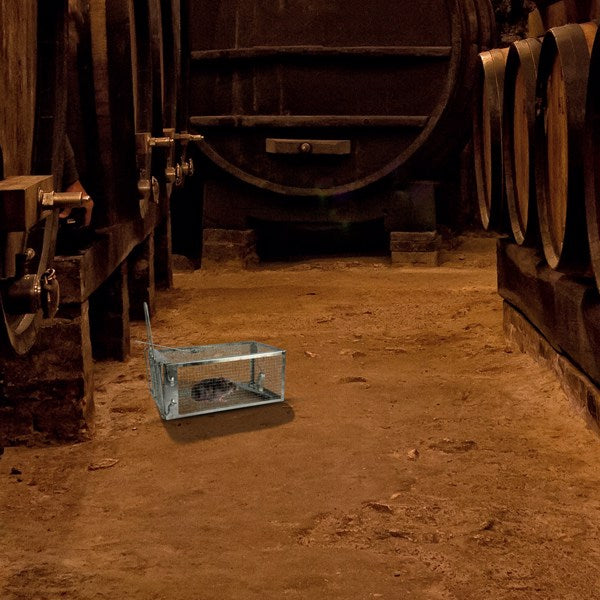 Mouse Trap, Galvanized Iron Mouse Control Bait Catcher, Prohibited Platform Amazon - 5 - CJ