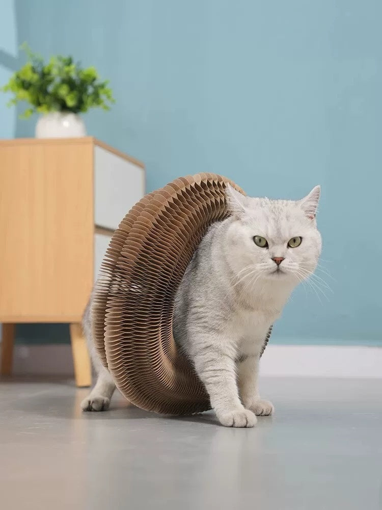 Folding Cat Scratcher, A Magical Foldable Toy - 5 - CJ