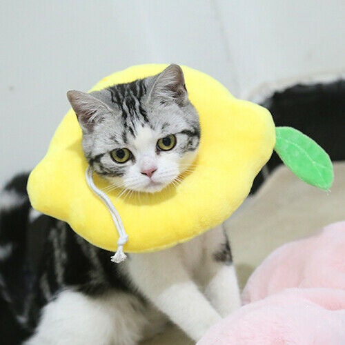 Adjustable Pet Neck Cone Recovery Pet Cat Recovery Collar Cat Soft Lemon Neck Cone Adjustable Pet E Collar After Surgery, Wound Healing Protective Cat Elizabethan Collar For Kitten & Puppy - 5 - CJ