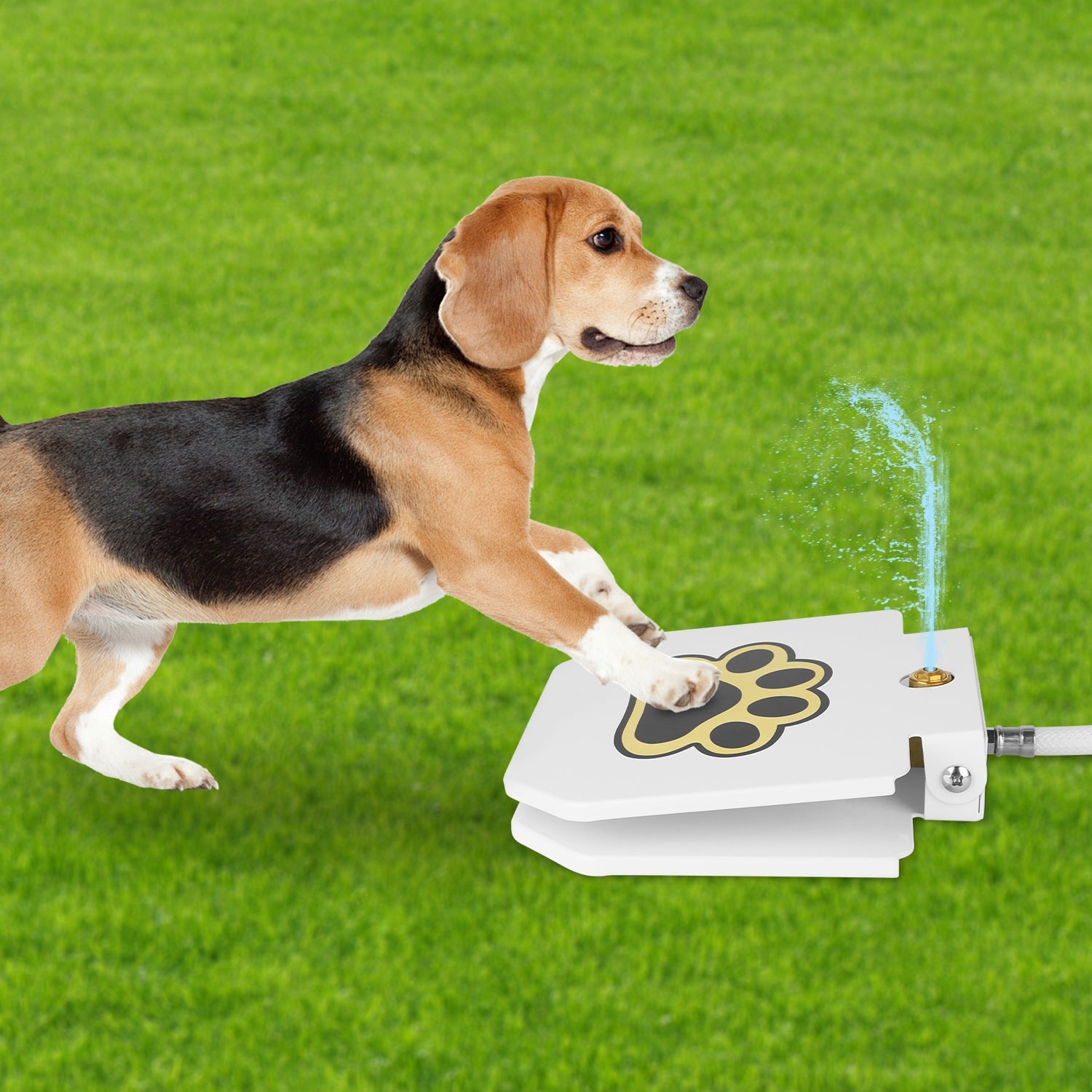 1Pc Dog Water Fountain Outdoor Dog Pet Water Dispenser Step - on Activated Sprinkler With Interactive Paw Pedal Valve For Drinking Water - 5 - CJ