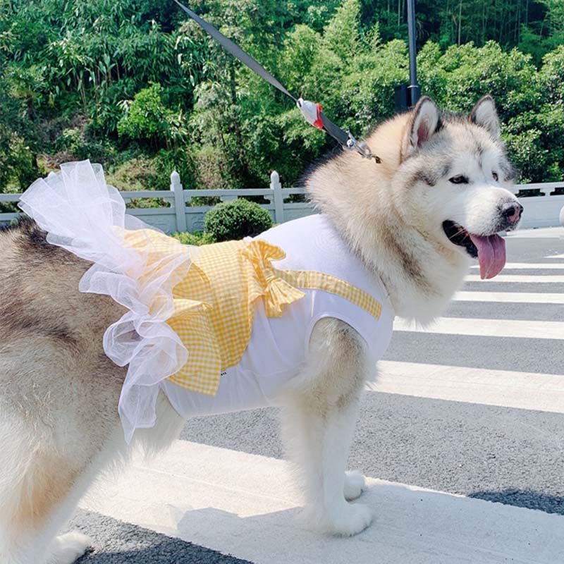 Dog Clothes Princess Dog Costume Labrador Golden Retriever Big Dog Clothes - 0 - CJ - Yellow - 6XL - CJGD102594309IR