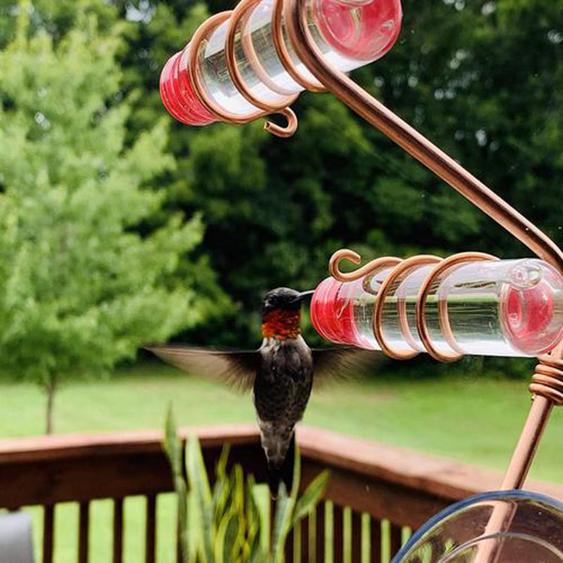 Garden Bird Feeder Supplies Hummingbird Feeder Drinker Suction Cup Easy To Clean Deck Garden Decor Bird Feeders for Wild Birds - 0 - CJ