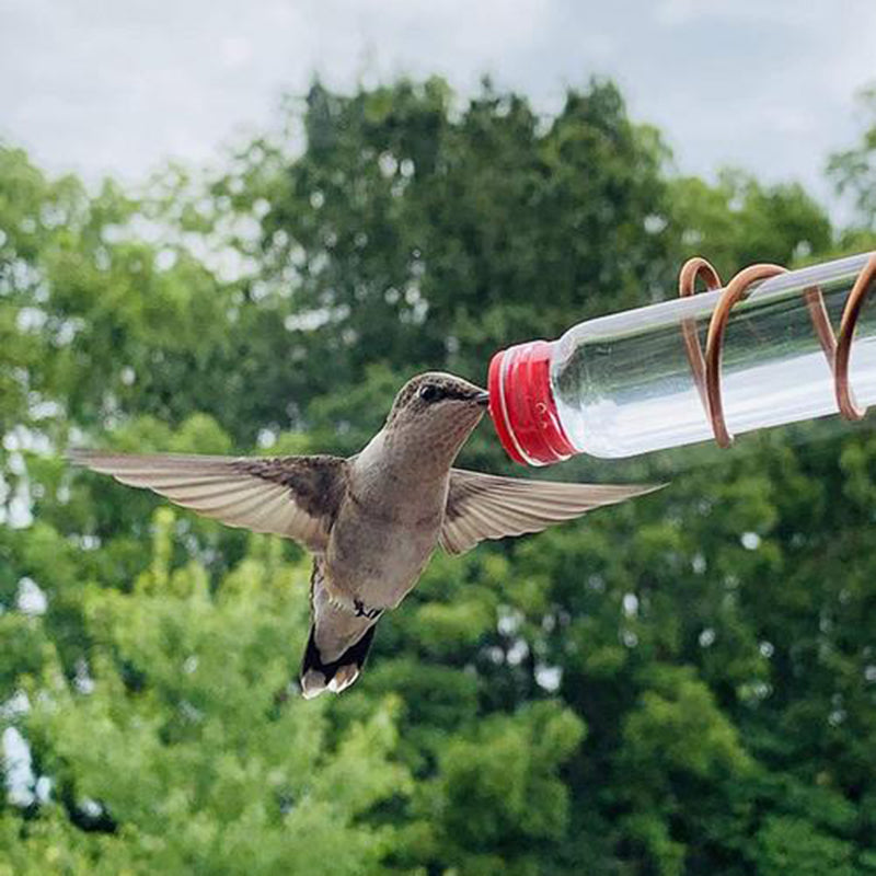 Garden Bird Feeder Supplies Hummingbird Feeder Drinker Suction Cup Easy To Clean Deck Garden Decor Bird Feeders for Wild Birds - 0 - CJ