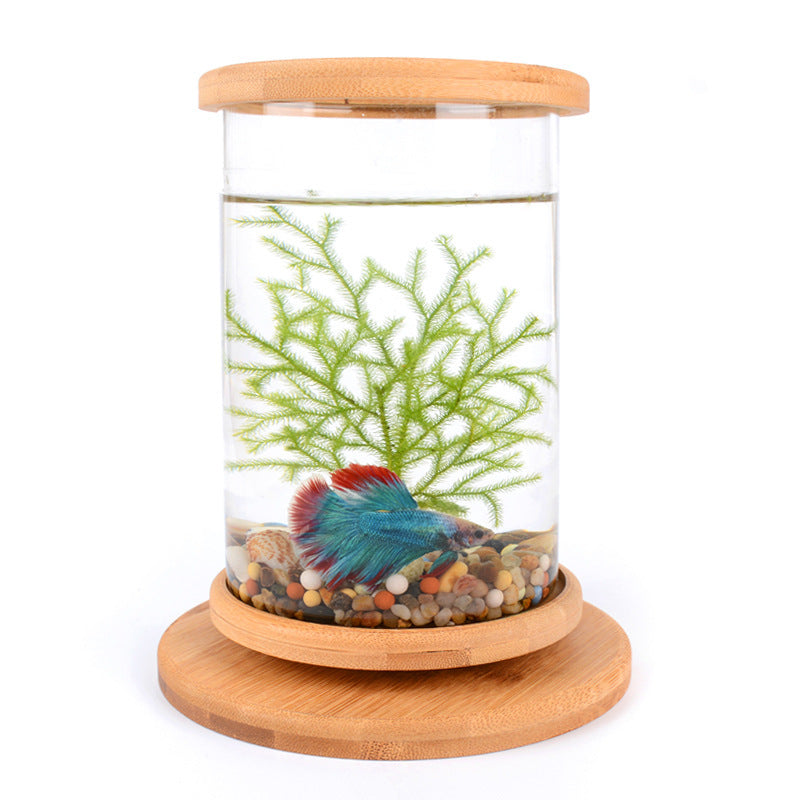 Small Office Glass Aquarium Bamboo Base Mini Fish Tank Decoration Fish Bowl - 0 - CJ