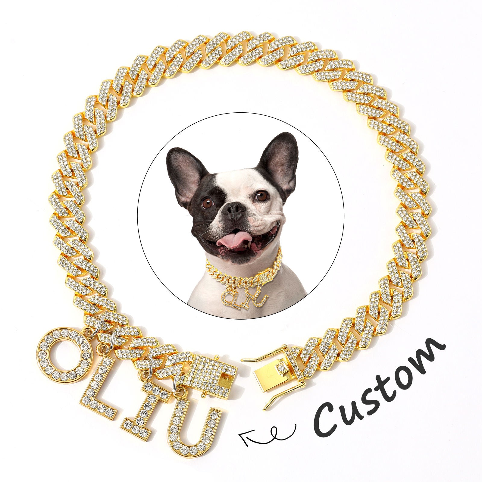 Luxury Alloy Dog Firewood Walking Collar - 5 - CJ