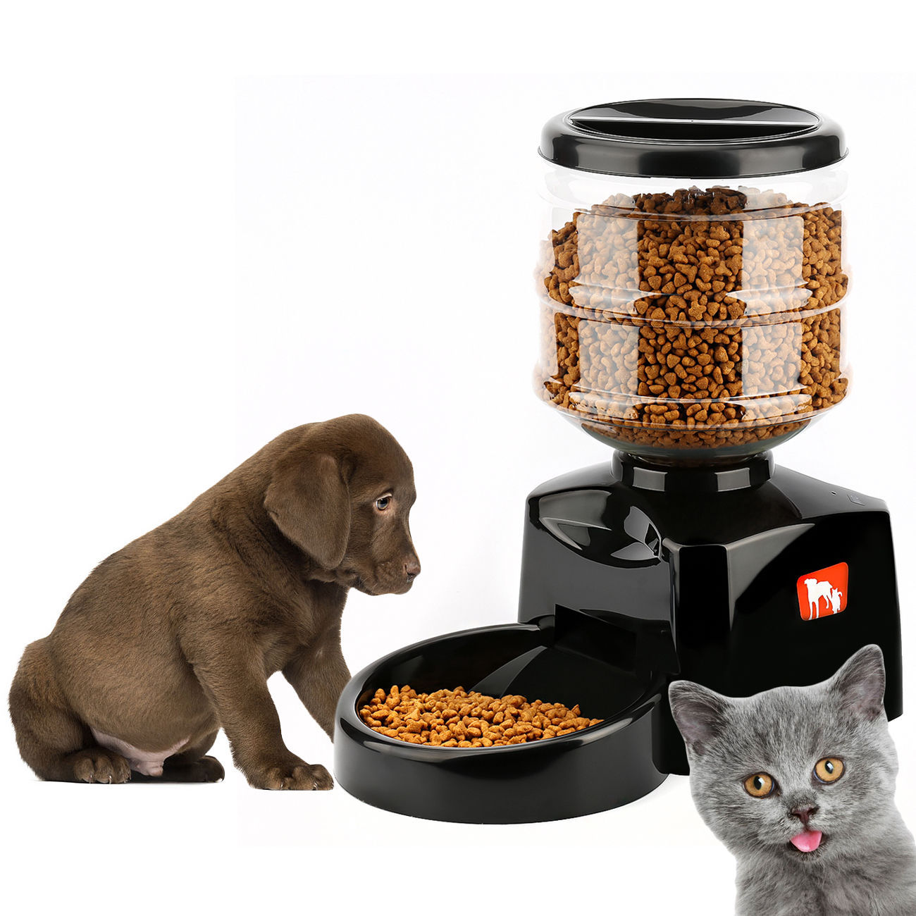 Timing Intelligent Automatic Feeder Snack Pet Supplies - 0 - CJ