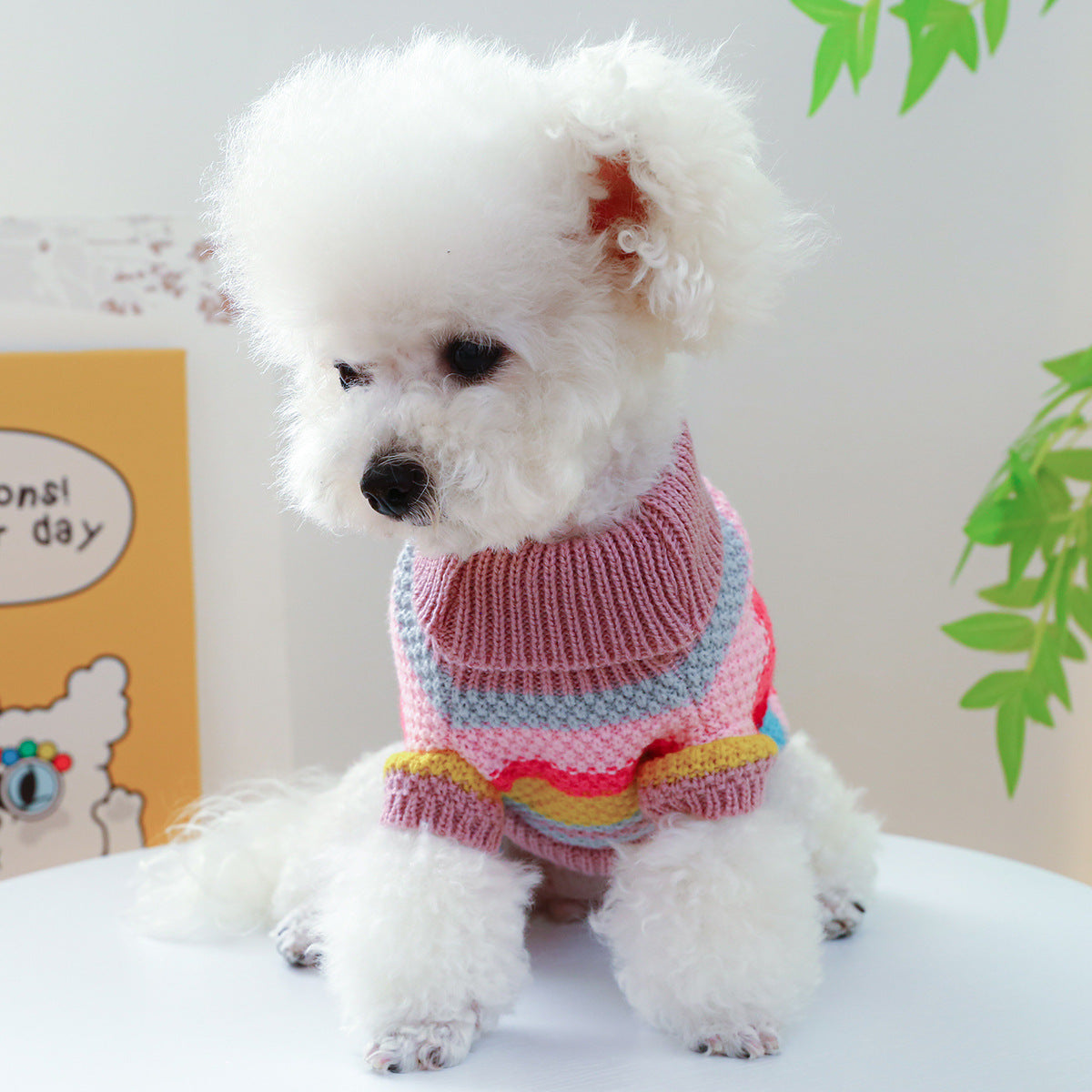 Pet Ring Comfortable Color Stripes Colorful Sweater - 0 - CJ