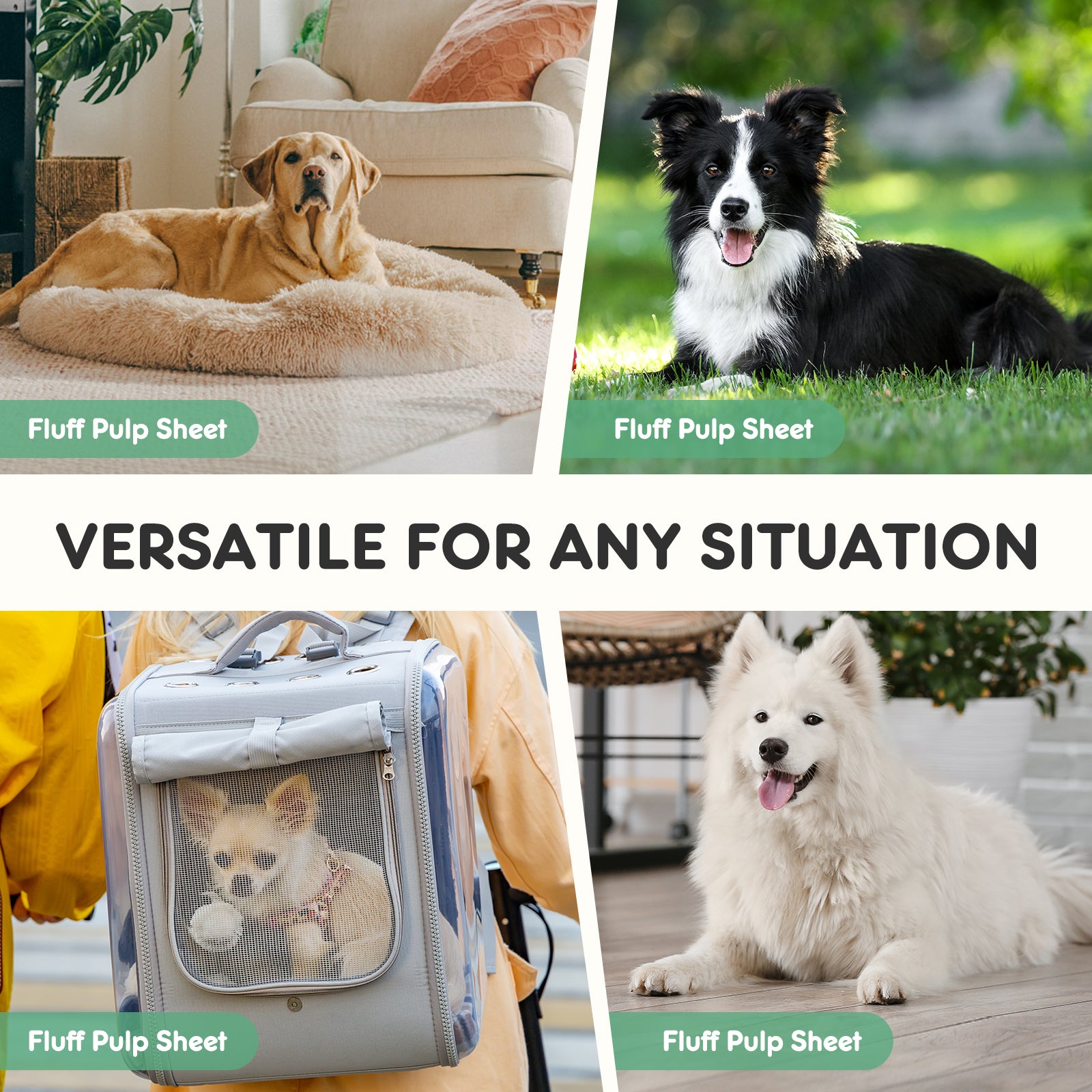 Puppy Pads, Leak - proof Quick - drying Disposable Dog Pads, Absorbent Dog Pee Pads - 5 - CJ