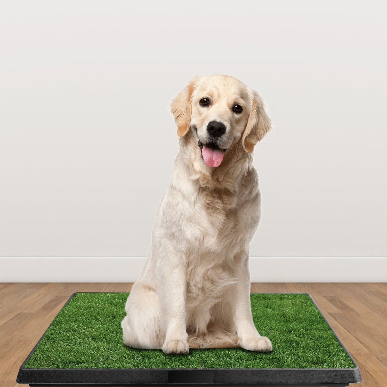 1Pc Dog Potty Training Artificial Grass Pad Pet Cat Toilet Trainer Mat Puppy Loo Tray Turf For Small Medium Dogs Indoor Outdoor Use - 5 - CJ