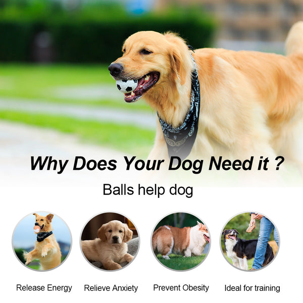 12 PCS Non - Toxic Dog Toy Ball Hard Rubber Solid Ball Cleaning Teeth Durable To Chew And High Rebound Great Pet Play Training Supplies - 5 - CJ