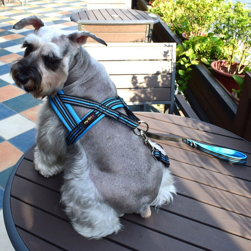 Dog Leash Vest - style Chest Harness - 0 - CJ