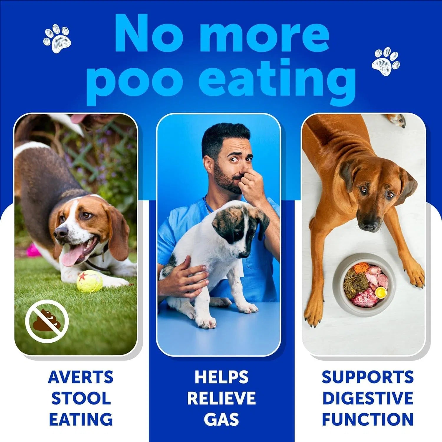 No Poo Chews For Dogs Puppy Coprophagia Stool Eating Deterrent Prevent Dog From Eating Poop Stop Eating Poop Treats With Probiotics & Enzymes Immune Digestive Gut Health Support Supplement - 5 - CJ