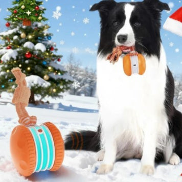 Pet Ball For Dogs Interactive Toys Motion Activate Rolling Ball For Puppy Small Dogs Automatic Moving Toy USB Rechargeable Toy Pet Products - 0 - CJ