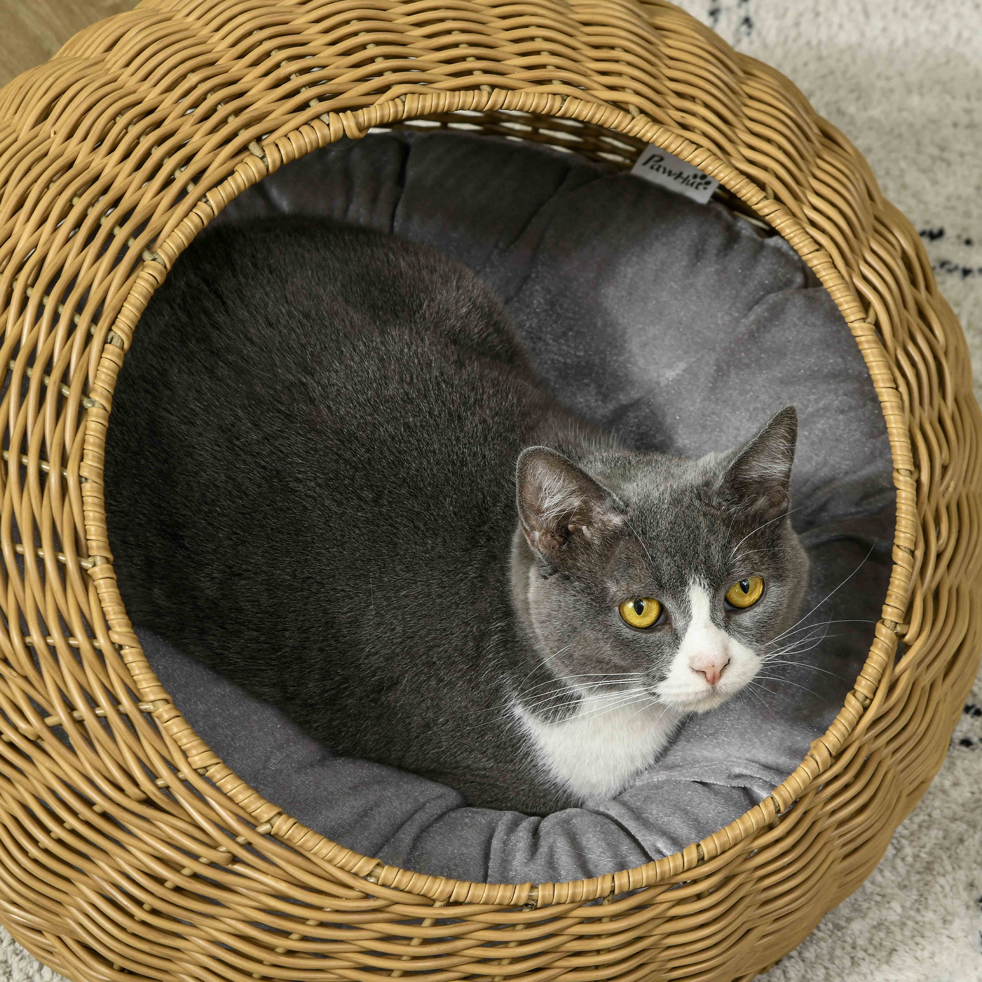 Rattan Cat Bed with Washable Cushion for Cats, Puppies, Light Brown - 5 - CJ