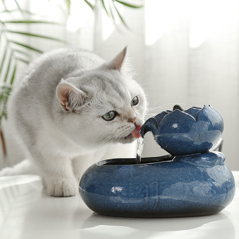 Cat feeder water feeder - 0 - CJ