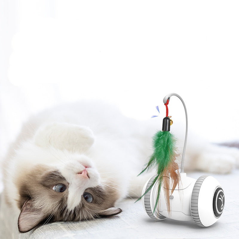 Interactive Cat Toy With Interchangeable Heads Pet Feather Toys - 0 - CJ