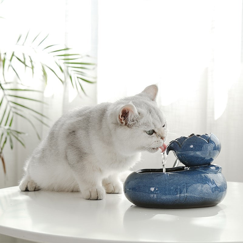 Cat feeder water feeder - 0 - CJ