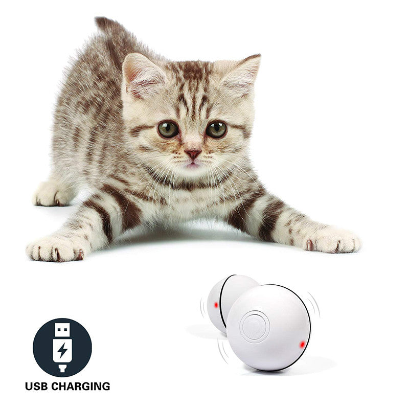 LED Laser Electronic Rolling Pet Funny Cat Toy Ball - 0 - CJ