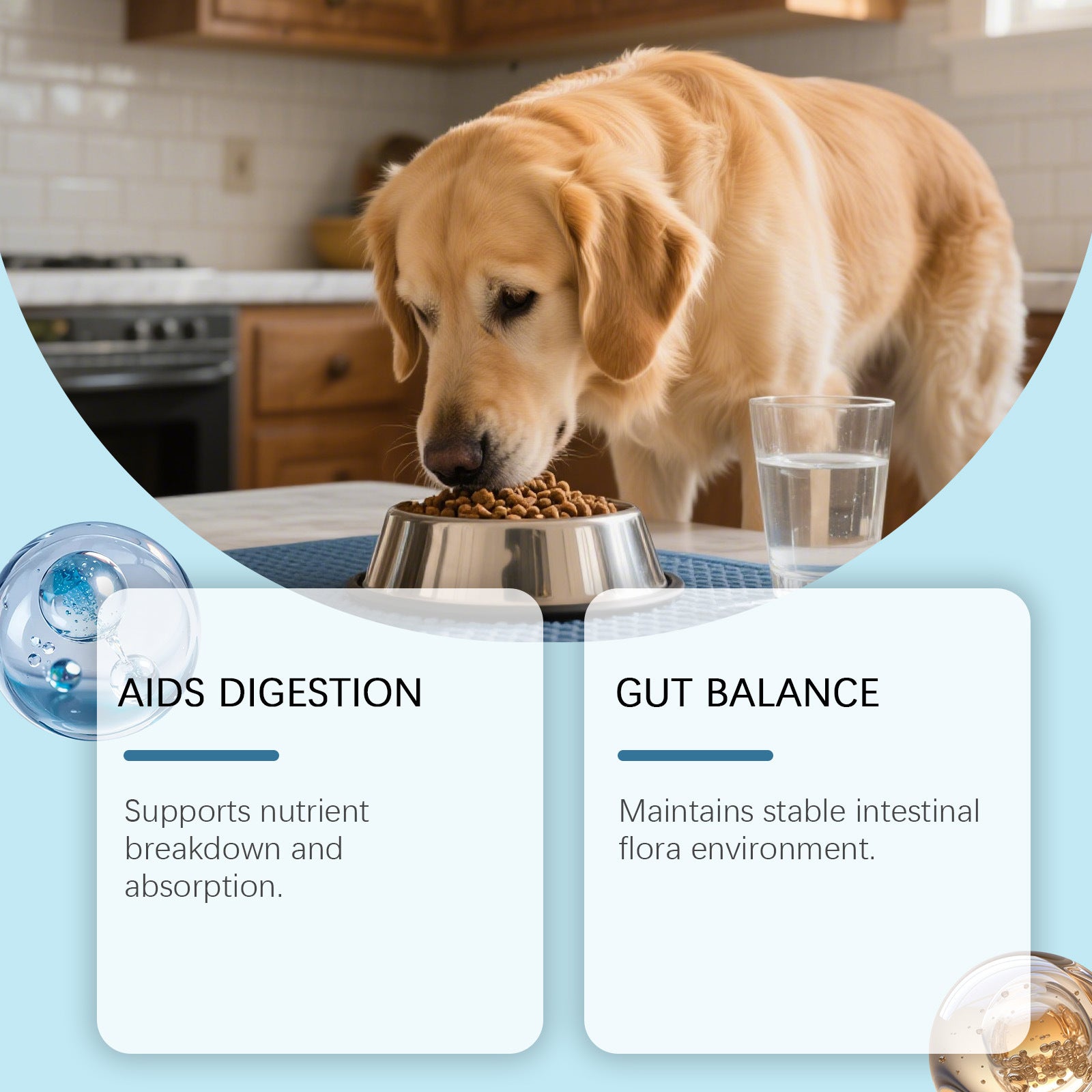 Daily Probiotic Soft Granules For Dog Gut Health - 0 - CJ