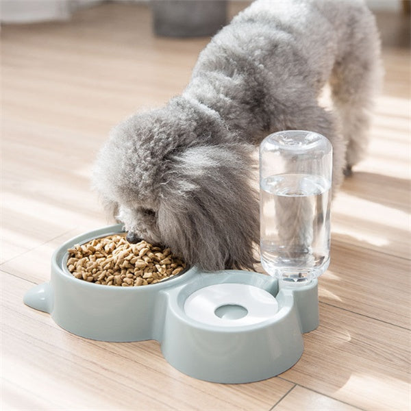 Dog bowl - 0 - CJ