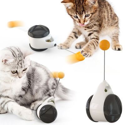Balance swing car funny cat toy - 0 - CJ