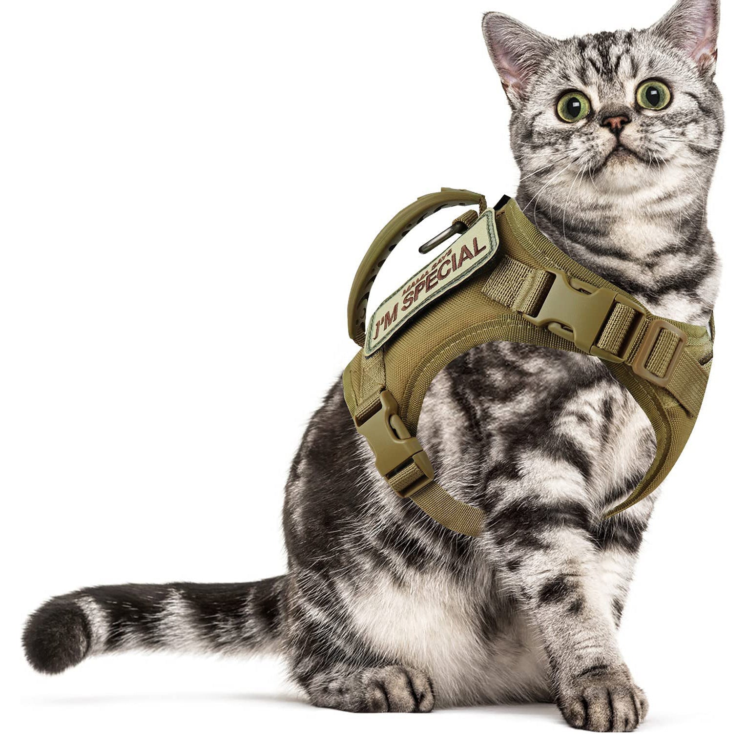 Cat Chest Strap Vest Hand Holding Rope - 0 - CJ