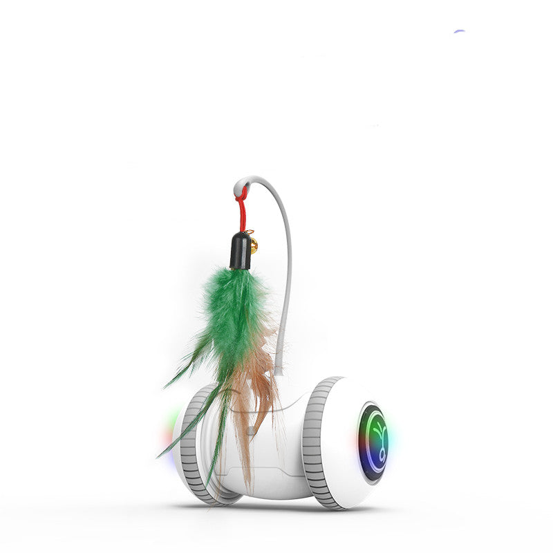 Interactive Cat Toy With Interchangeable Heads Pet Feather Toys - 0 - CJ