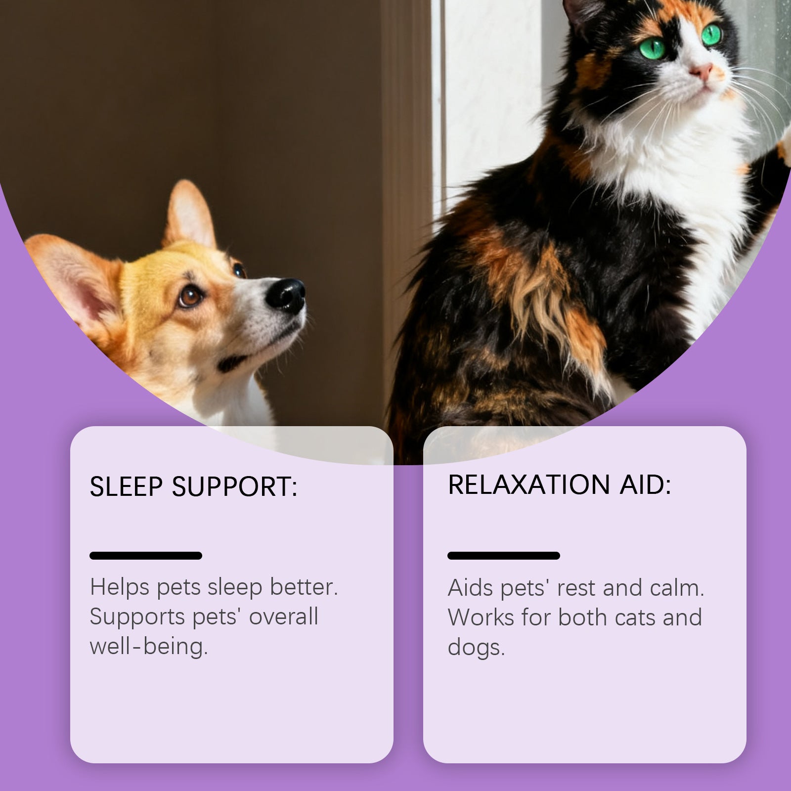 Kriath Pet Cat And Dog Care Drops Gentle, Nourishing, And Soothing Drops For Cats And Dogs, Ideal For Daily Sleep And General Care - 0 - CJ