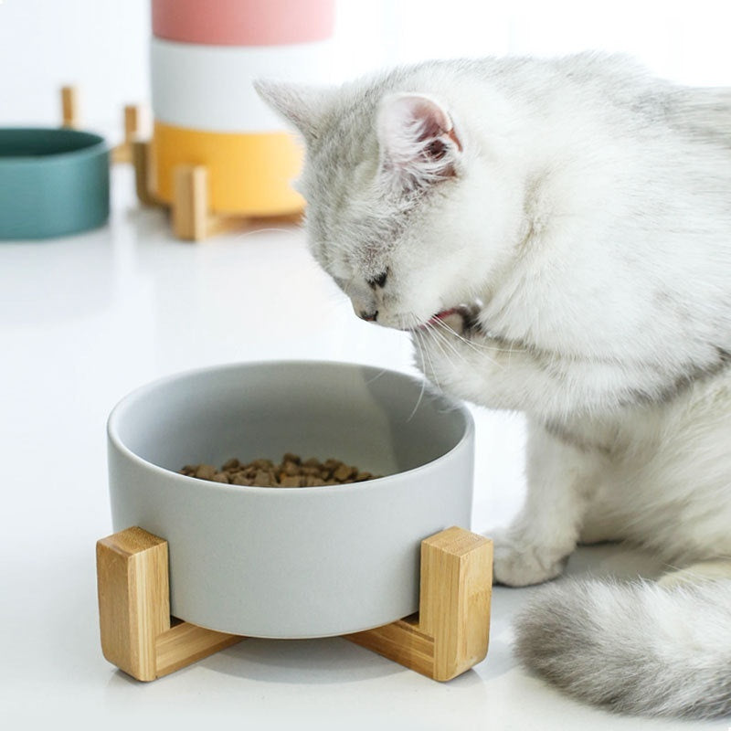 Solid Color Minimalist Home Use Ceramic Cat Food Feed Bowl - 0 - CJ