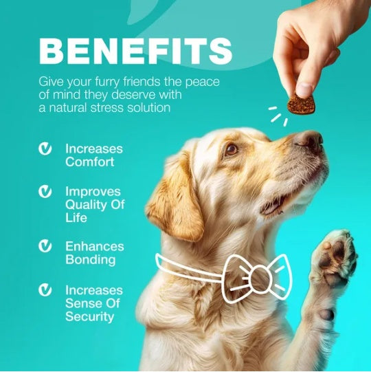 No Poo Chews For Dogs Coprophagia Deterrent For Dogs Forbid For Dogs Stool Eating Deterrent Dog Probiotics For Digestive Health Digestive Gut Immune Health Treats No Poop Eating For Dogs - 5 - CJ