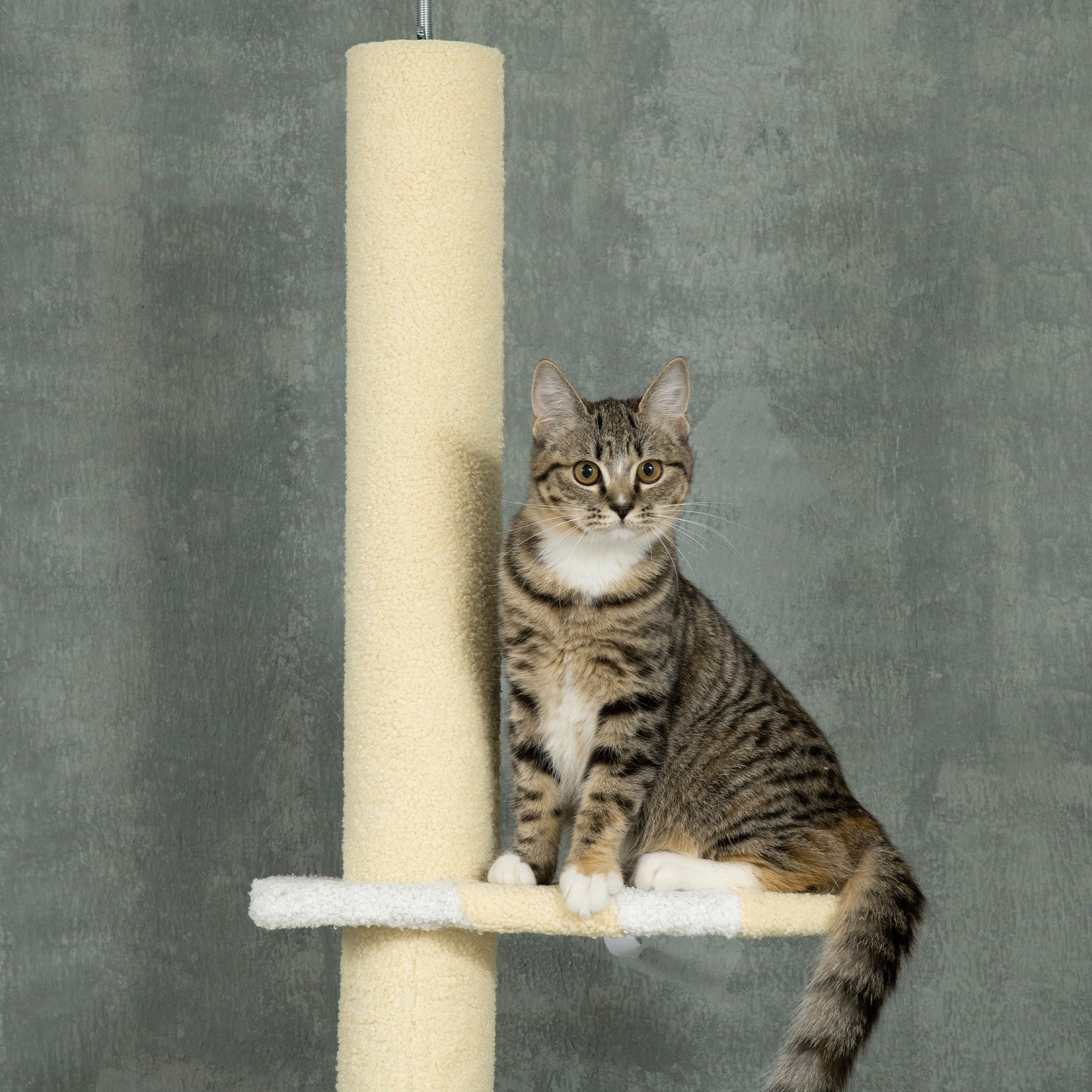 4 - Tier Floor to Ceiling Cat Tree Height Adjustable 87 - 103 Inch - 5 - CJ
